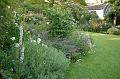 FilRoses_MmeDethier (46)